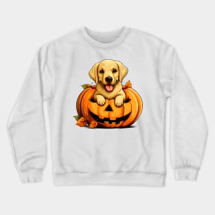 Labrador Retriever Dog inside Pumpkin #1 Crewneck Sweatshirt